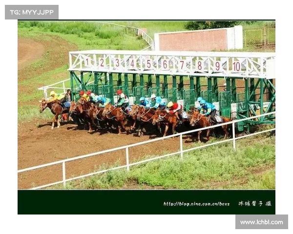 金安赛事活动_金安国际赛马场